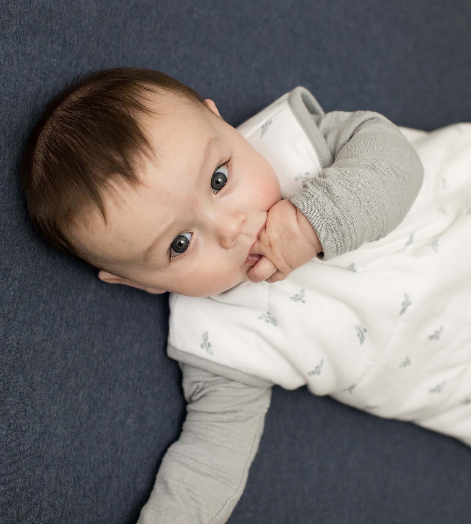 Solid Organic Cotton BEESNUG® Fitted Crib Sheet - Nightfall