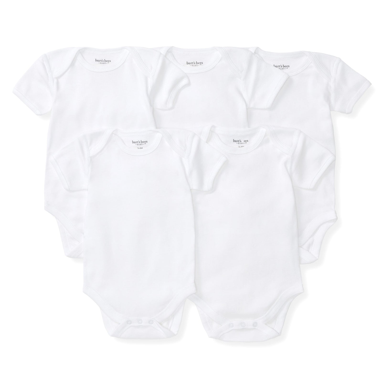 Bee Essentials Organic Short Sleeve Baby Bodysuit 5 Pack