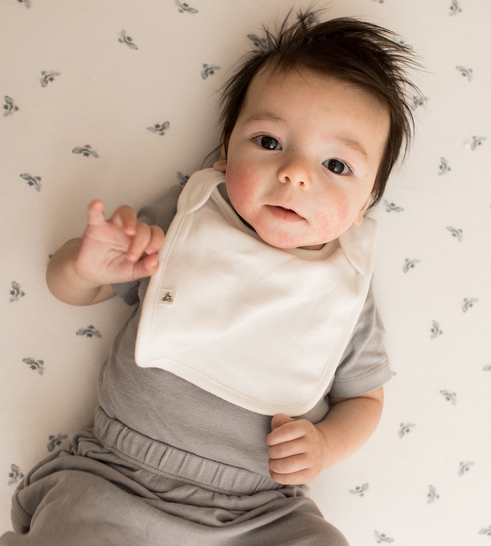 Solid Organic Cotton Baby Bibs 5 Pack - Midnight