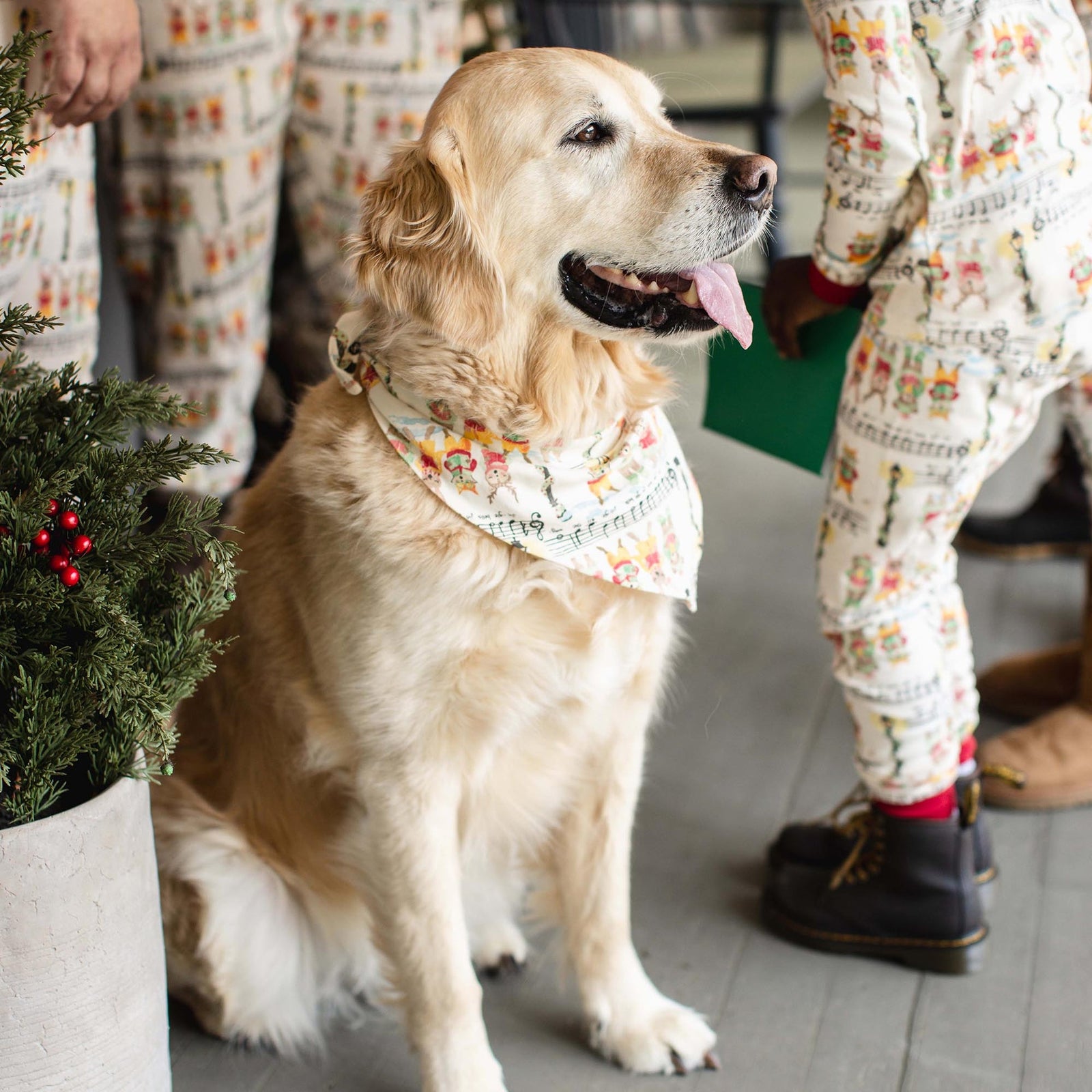 Product Image 6 of Sweet Carolers Matching Family Pajamas